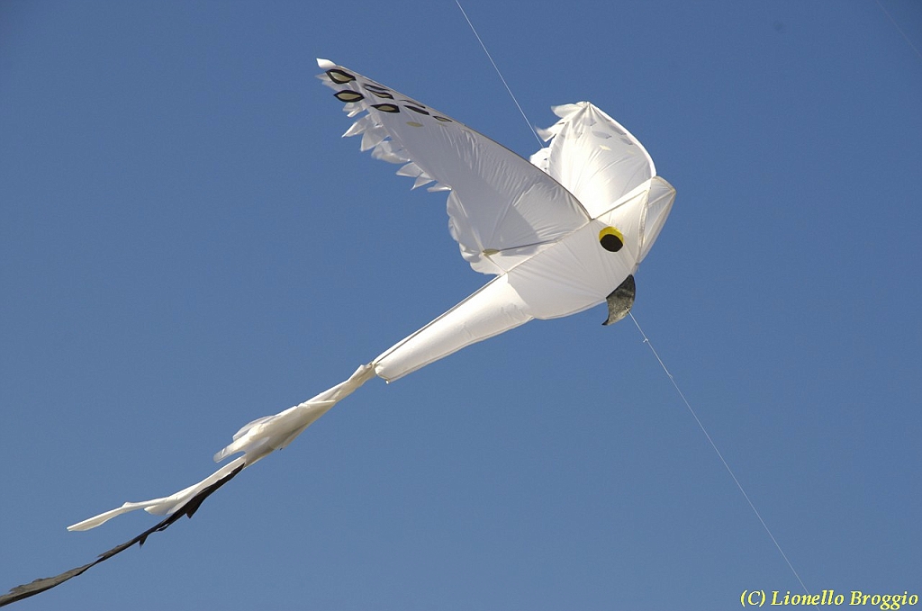 32 FESTIVAL CERVIA 2012 - 052.jpg